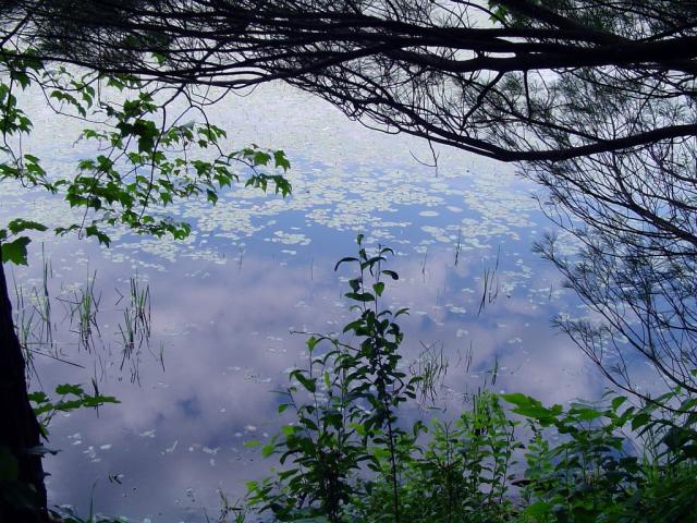 reflectingpond